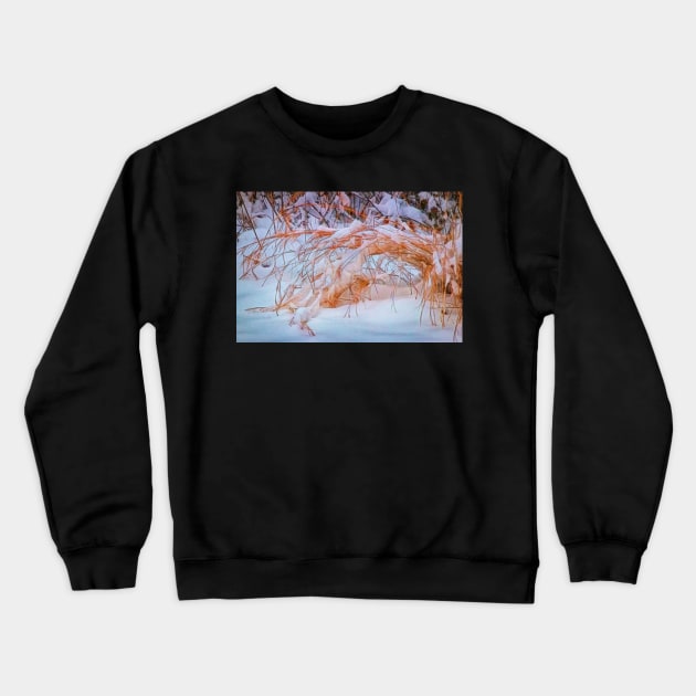 Long Winter Crewneck Sweatshirt by EileenMcVey